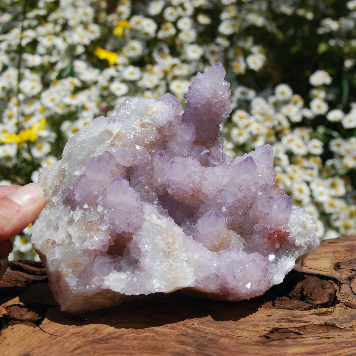 Spirit Quartz, Large Amethyst Spirit Quartz Crystal Cluster, South Africa