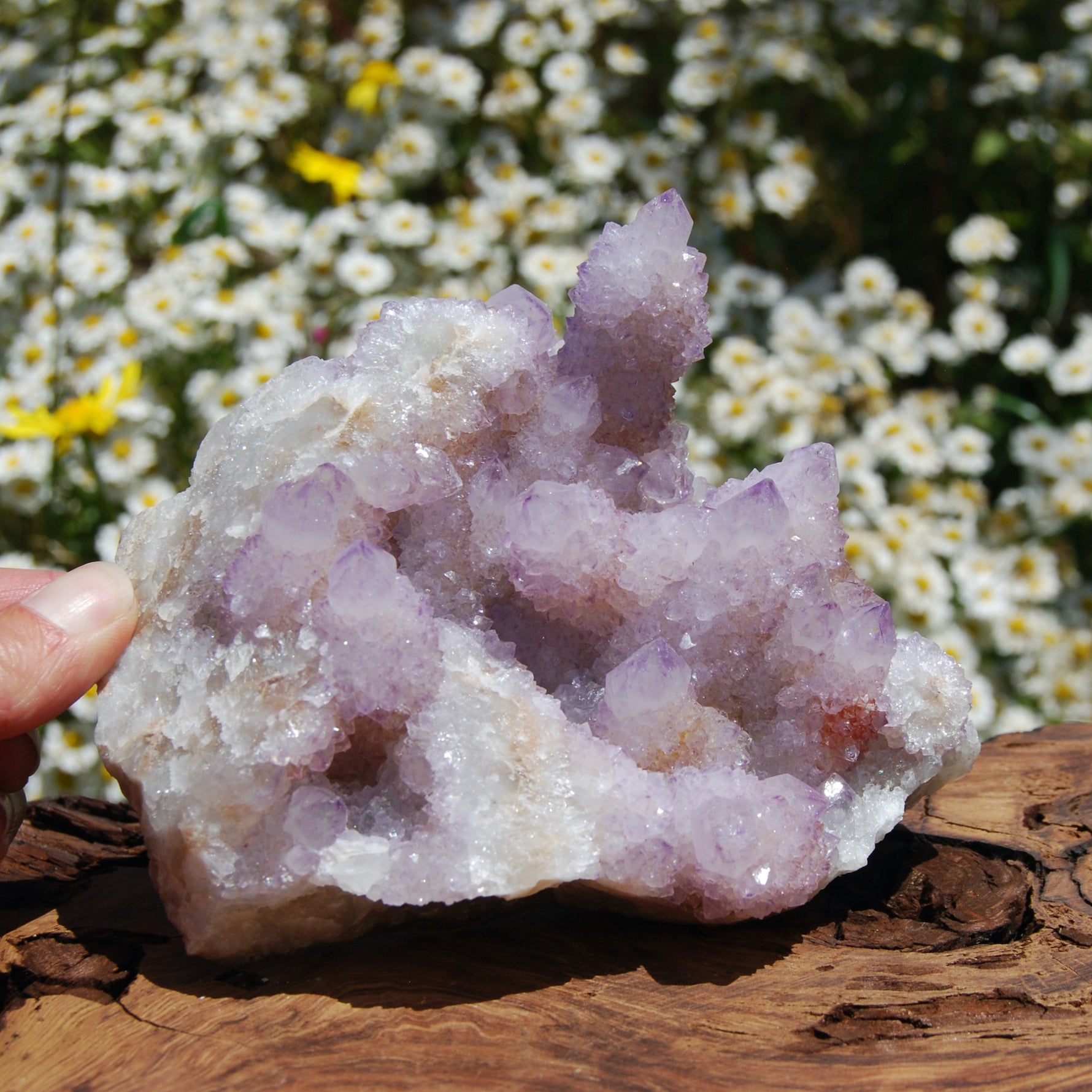 Spirit Quartz, Large Amethyst Spirit Quartz Crystal Cluster, South Africa