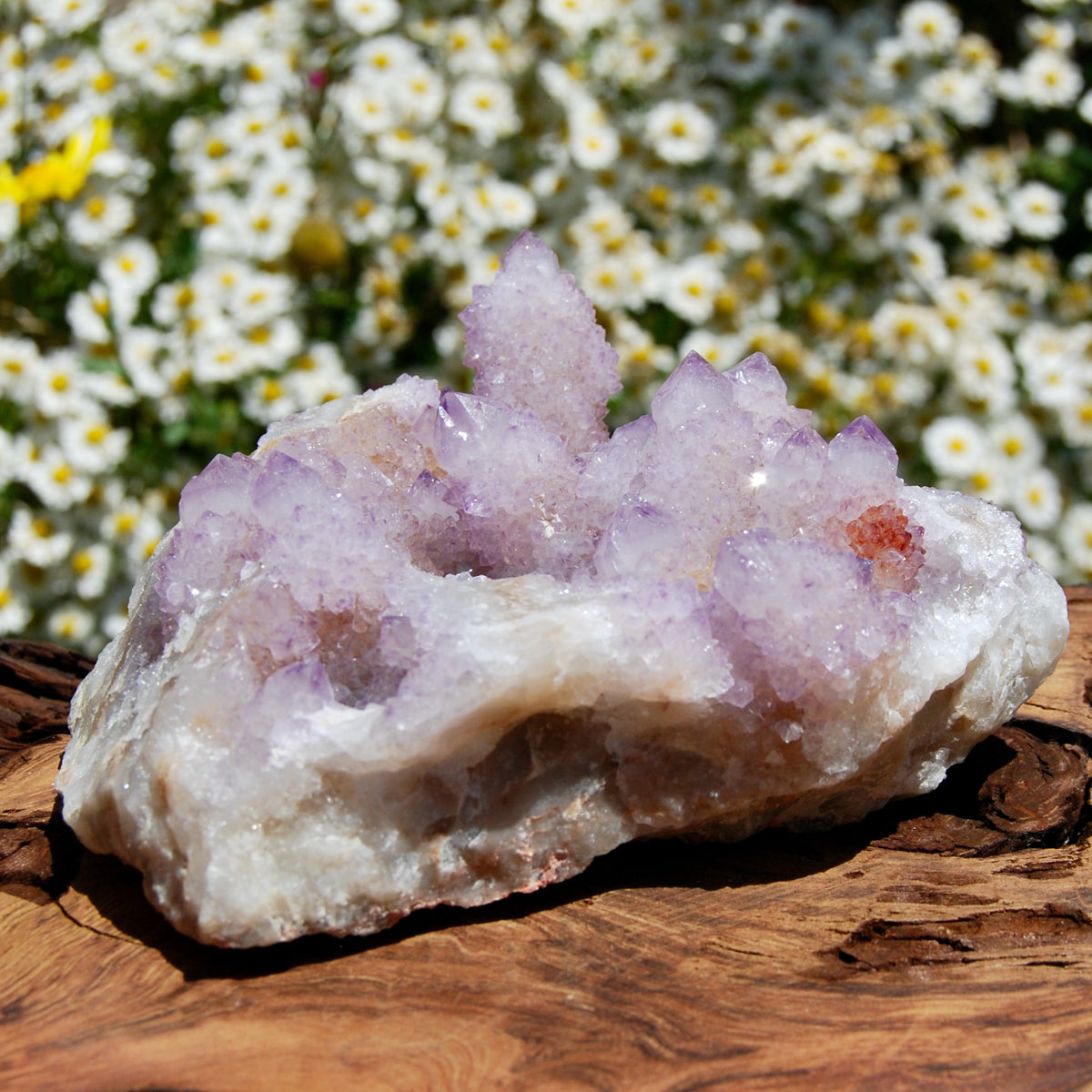 Spirit Quartz, Large Amethyst Spirit Quartz Crystal Cluster, South Africa