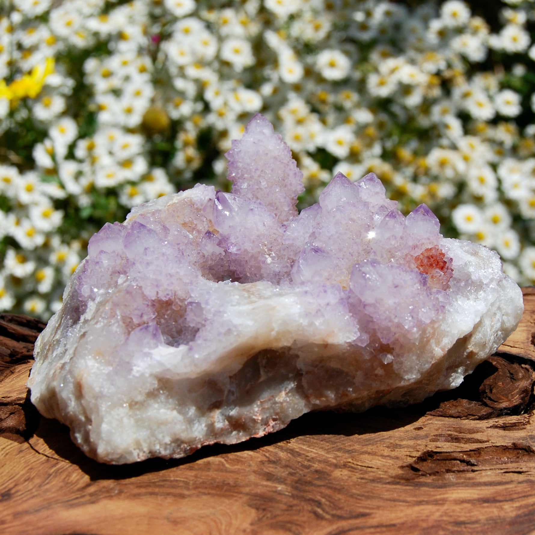 Spirit Quartz, Large Amethyst Spirit Quartz Crystal Cluster, South Africa