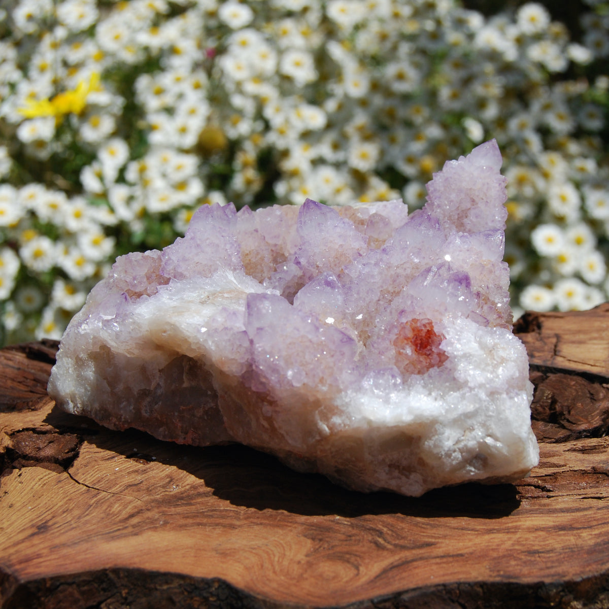 Spirit Quartz, Large Amethyst Spirit Quartz Crystal Cluster, South Africa