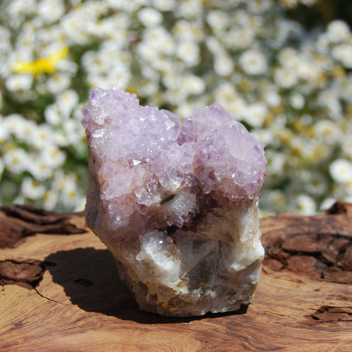 Amethyst Spirit Quartz Crystal Cluster, South Africa