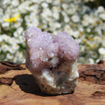 Amethyst Spirit Quartz Crystal Cluster, South Africa