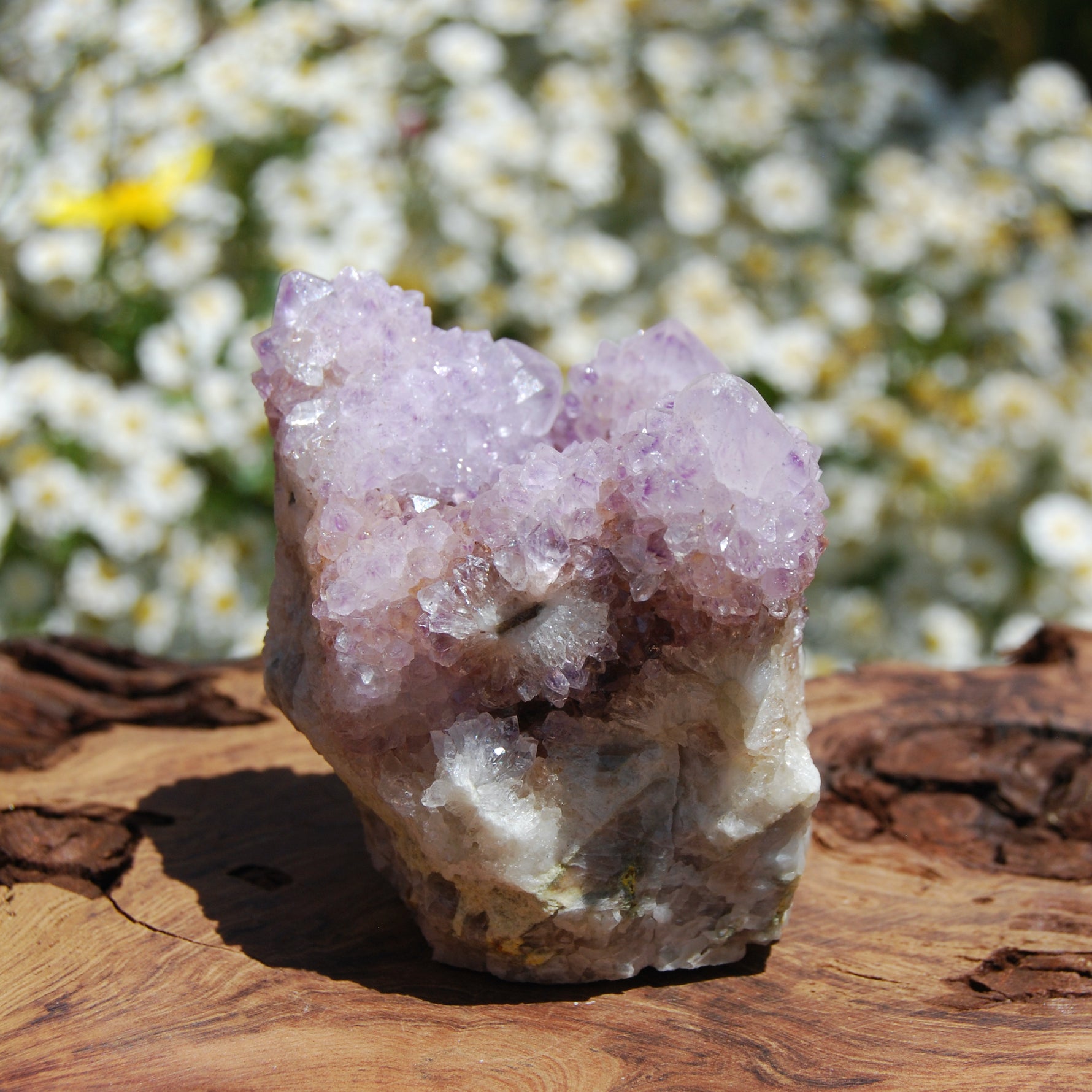 Amethyst Spirit Quartz Crystal Cluster, South Africa