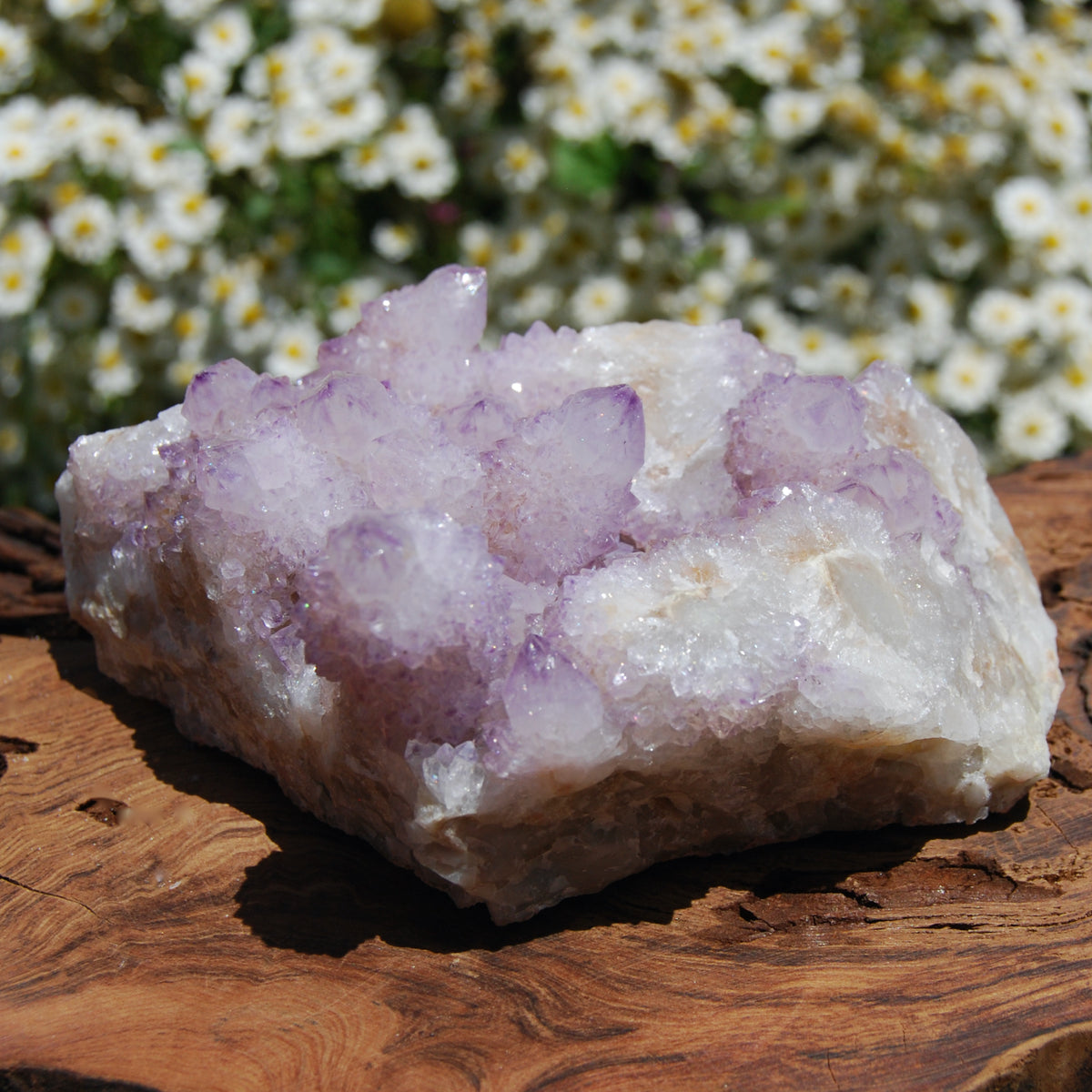 Spirit Quartz, Large Amethyst Spirit Quartz Crystal Cluster, South Africa