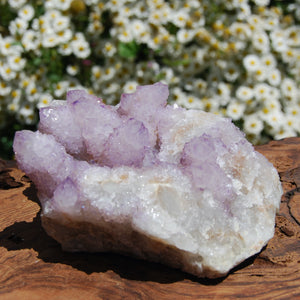 Large Amethyst Spirit Quartz Crystal Cluster, South Africa