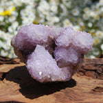 Amethyst Spirit Quartz Crystal Cluster, South Africa