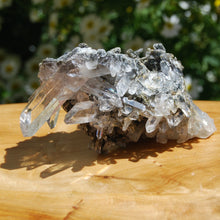 Load image into Gallery viewer, 4.5in 261g Chlorite Optical Lemurian Silver Quartz Crystal Cluster, Cosmic Twin Flame Quartz Starburst, Corinto, Brazil
