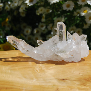Transmitter Lemurian Quartz Crystal Cluster