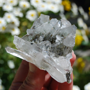 Chlorite Optical Quartz Crystal Cluster, Corinto, Brazil Info Draft
