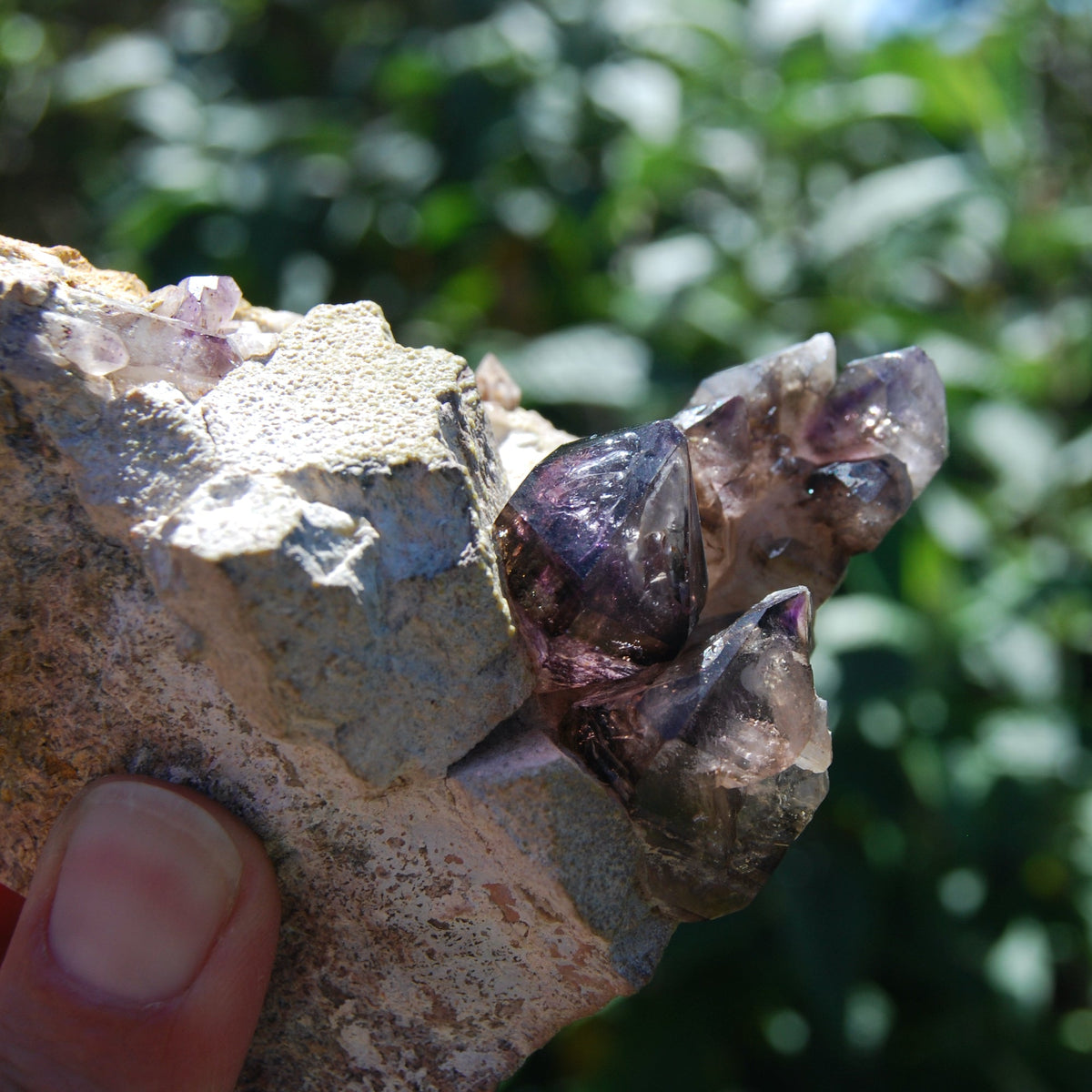 Brandberg Amethyst Elestial Crystal Cluster