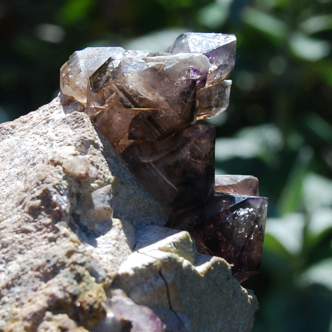 Brandberg Amethyst Elestial Crystal Cluster