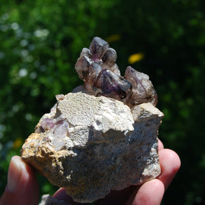 Brandberg Amethyst Elestial Crystal Cluster