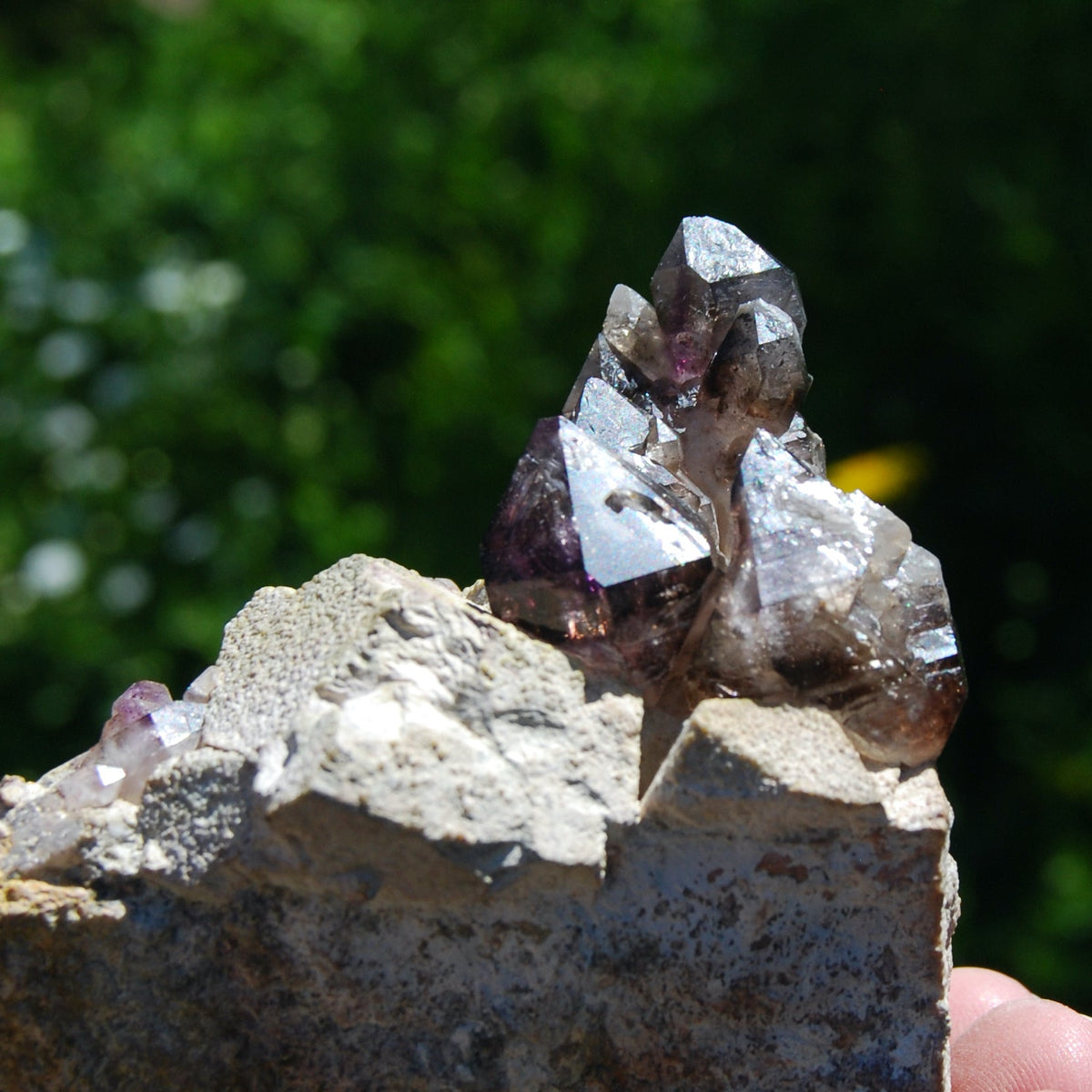 Brandberg Amethyst Elestial Crystal Cluster
