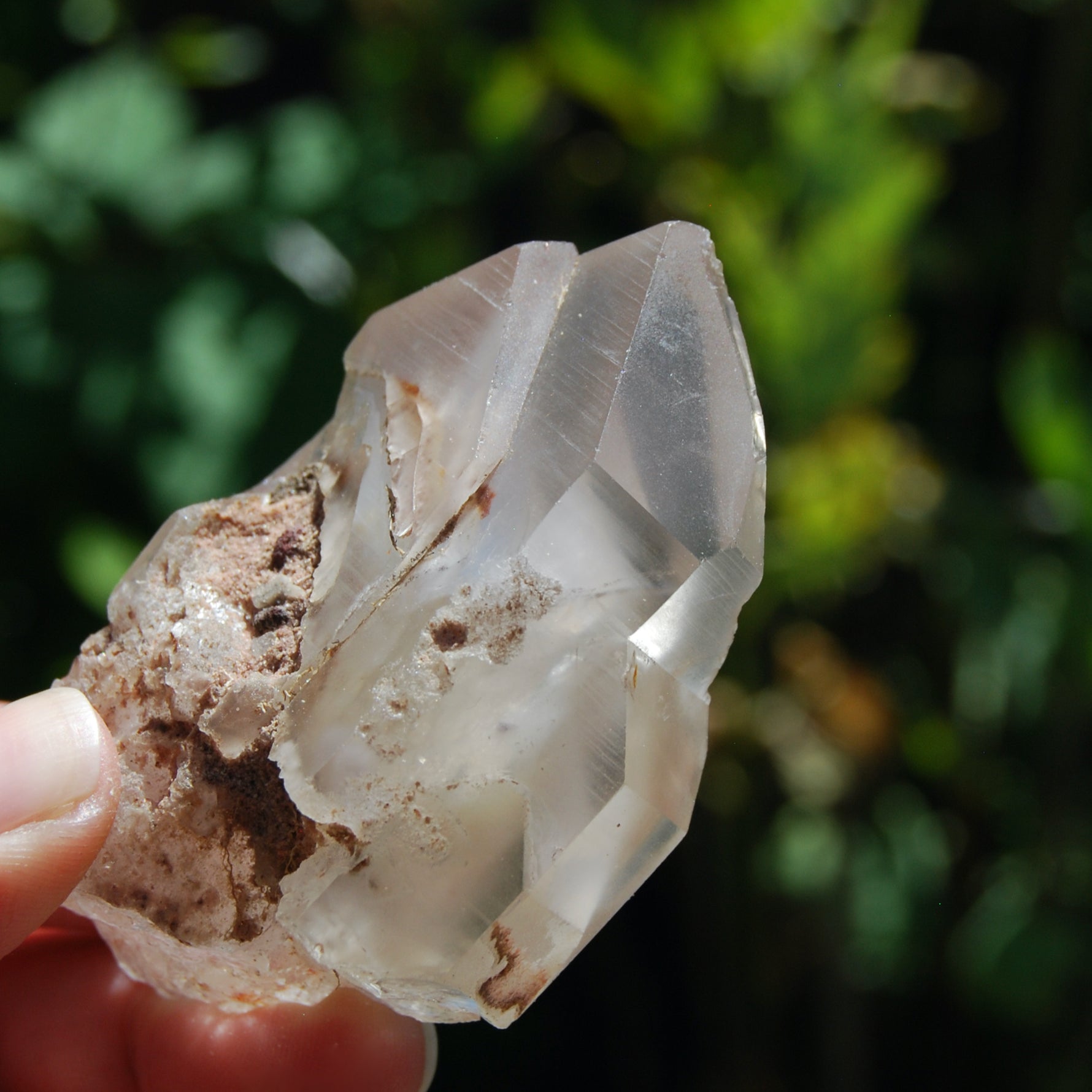 Tantric Twin Lithium Lemurian Quartz Crystal Starbrary