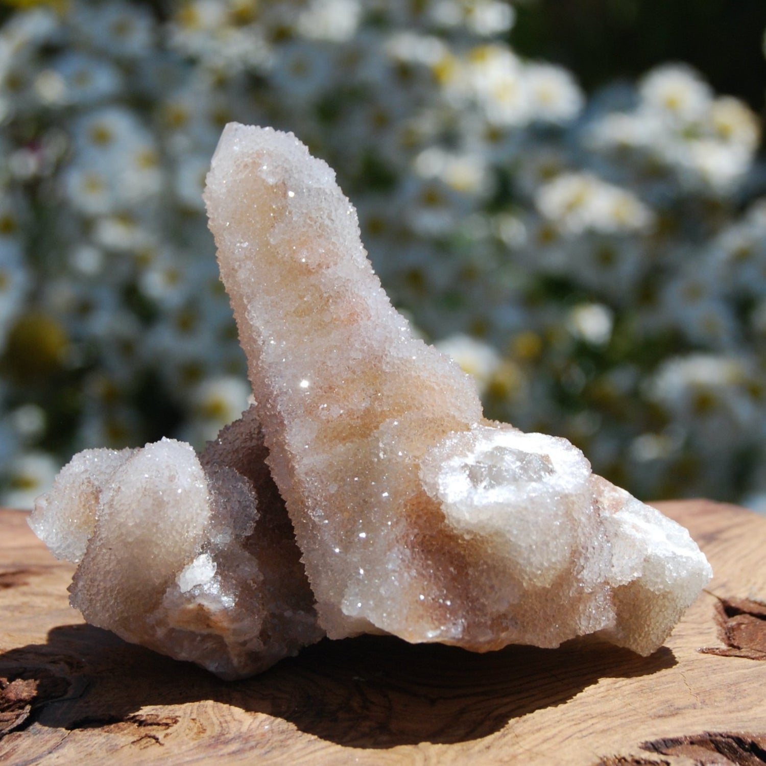 Large Fairy Quartz Crystal Cluster, Raw Spirit Quartz Druzy, South Africa