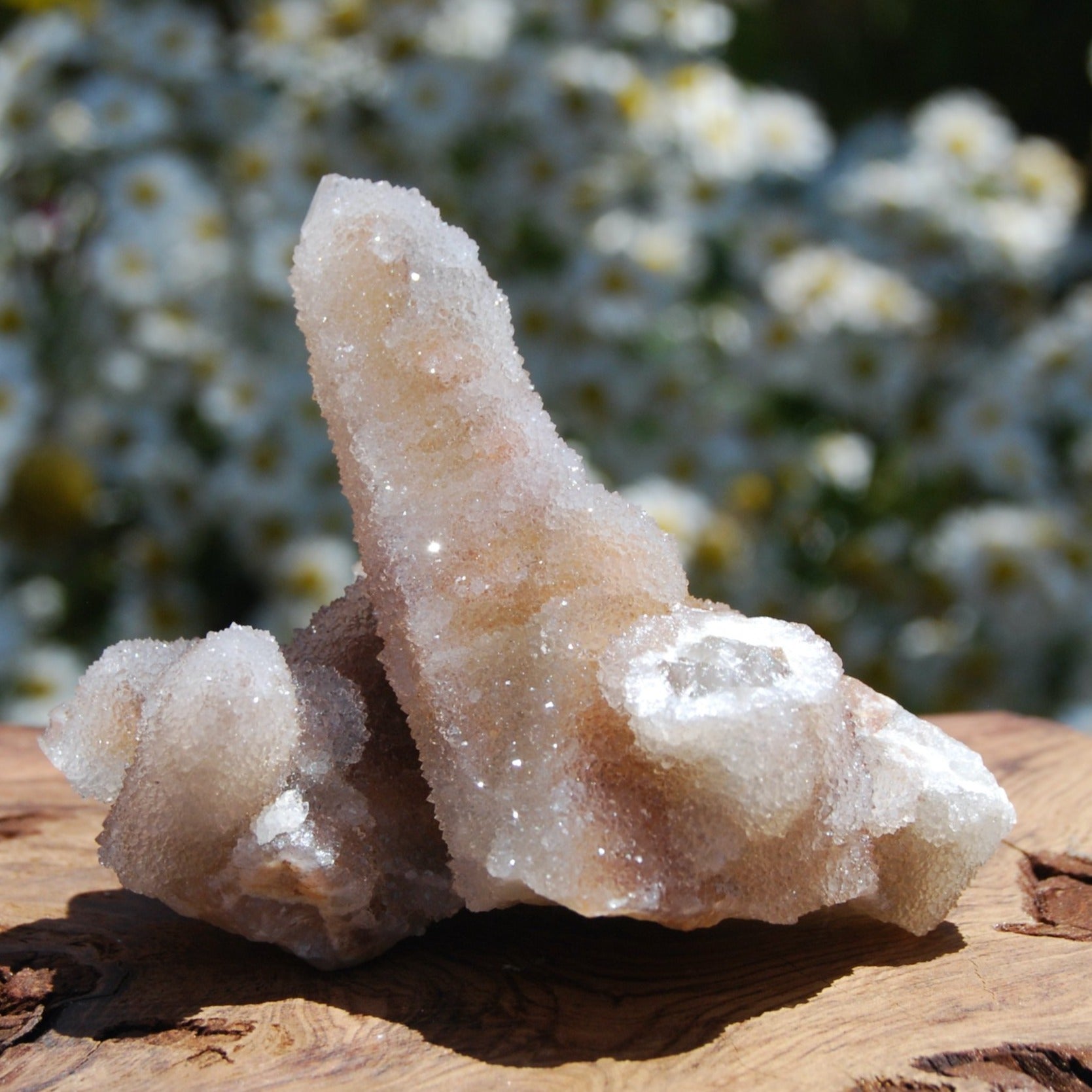 Large Fairy Quartz Crystal Cluster, Raw Spirit Quartz Druzy, South Africa