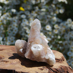 Large Fairy Quartz Crystal Cluster, Raw Spirit Quartz Druzy, South Africa
