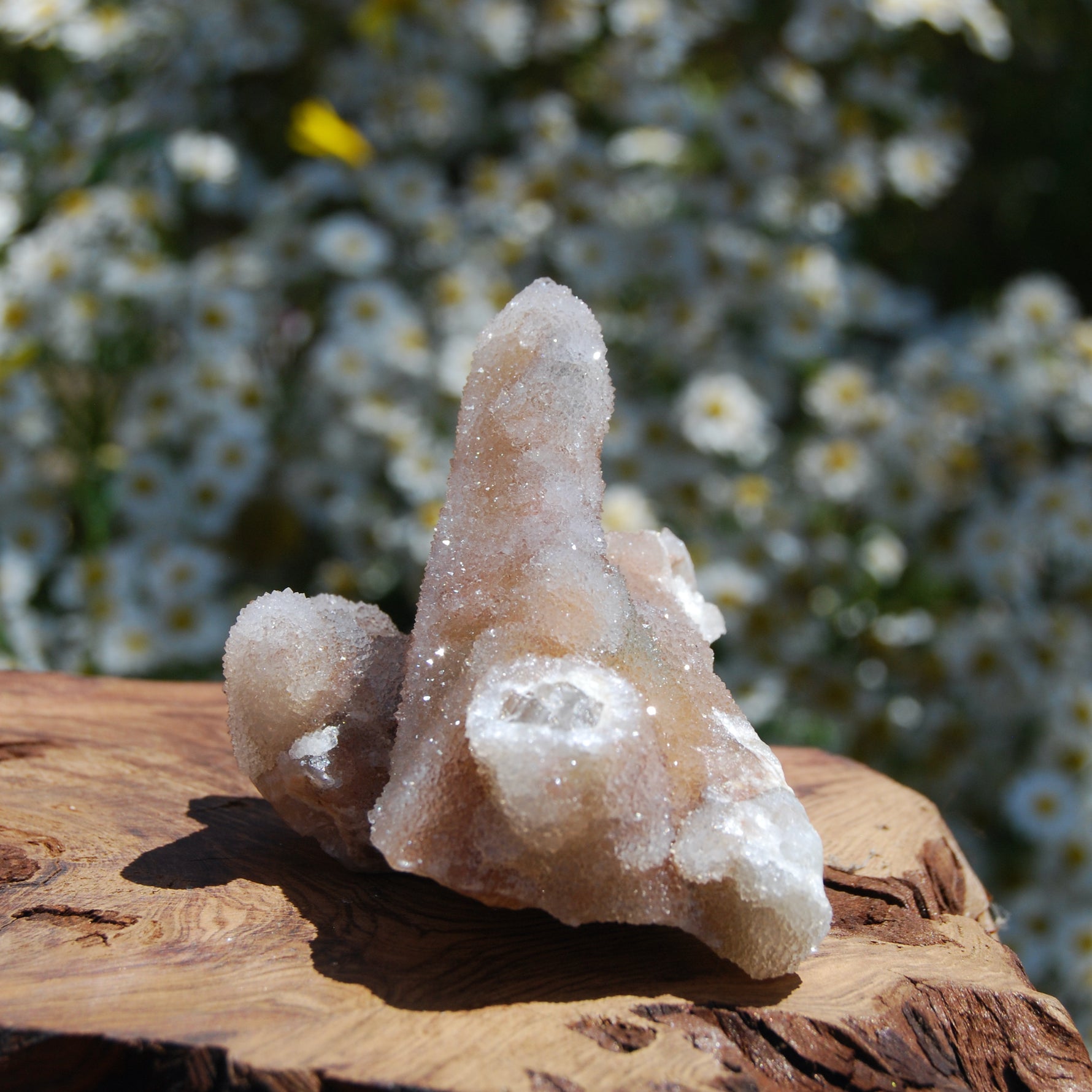 Large Fairy Quartz Crystal Cluster, Raw Spirit Quartz Druzy, South Africa