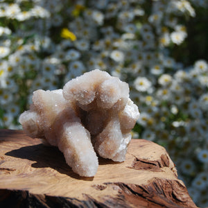Large Fairy Quartz Crystal Cluster, Raw Spirit Quartz Druzy, South Africa