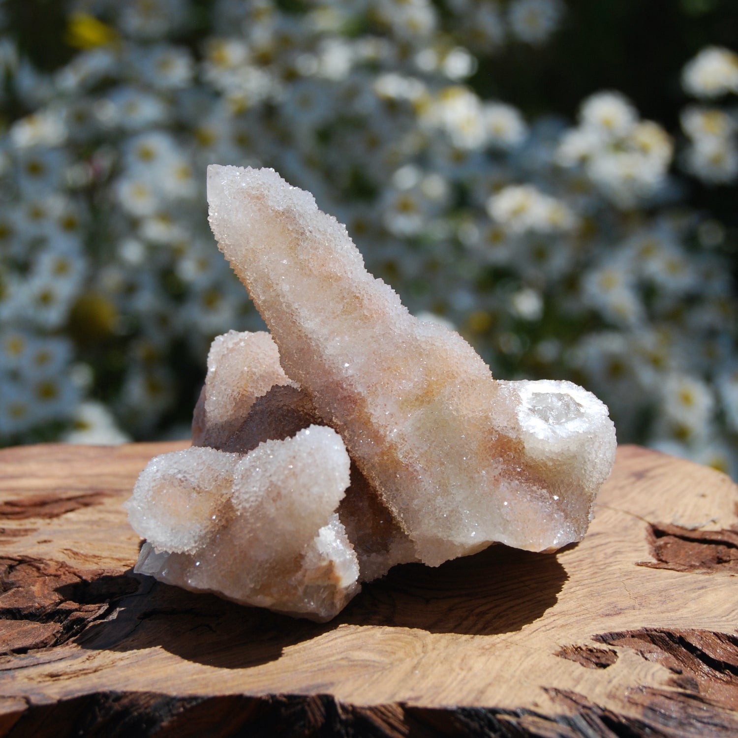 Large Fairy Quartz Crystal Cluster, Raw Spirit Quartz Druzy, South Africa