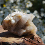 Large Fairy Quartz Crystal Cluster, Raw Spirit Quartz Druzy, South Africa