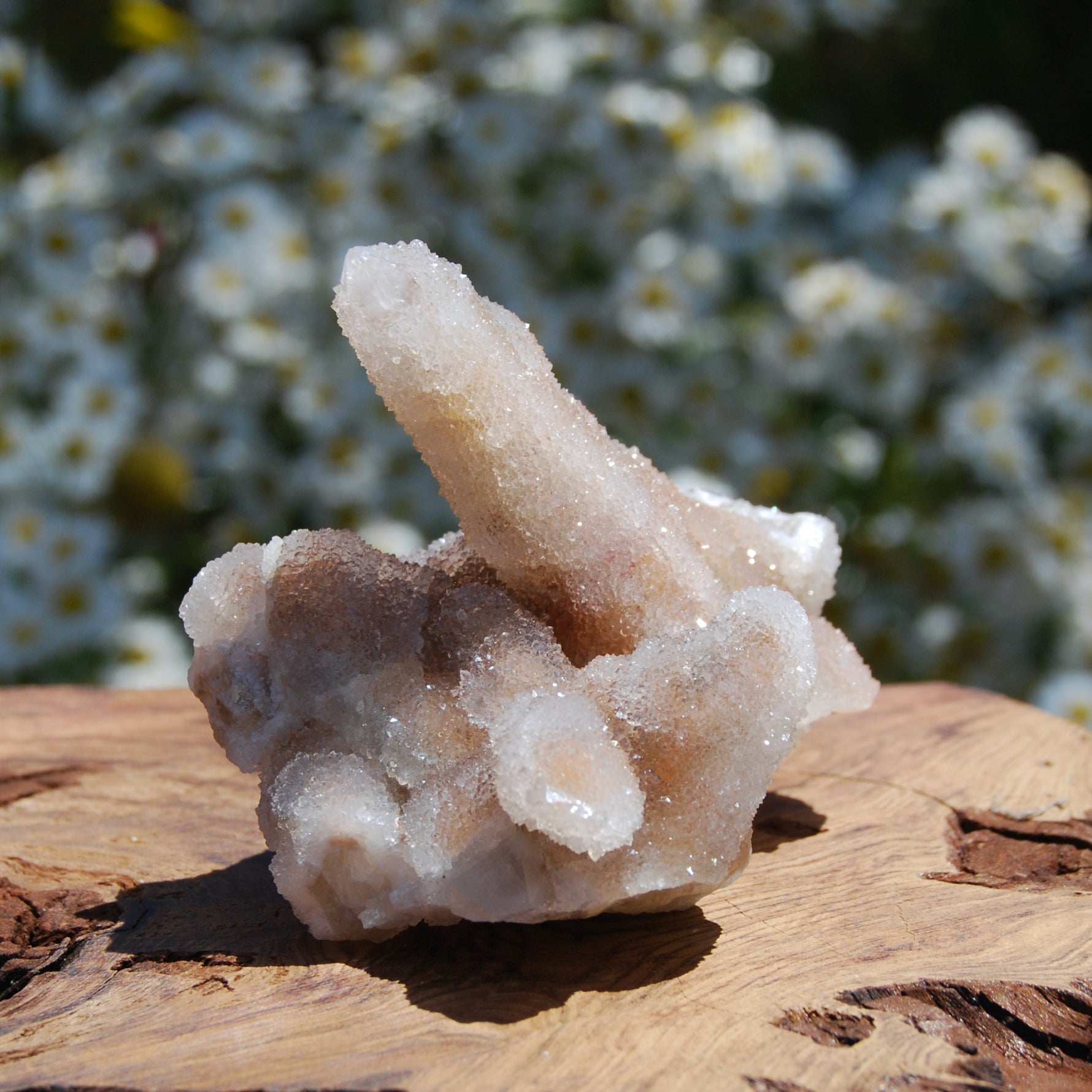 Large Fairy Quartz Crystal Cluster, Raw Spirit Quartz Druzy, South Africa