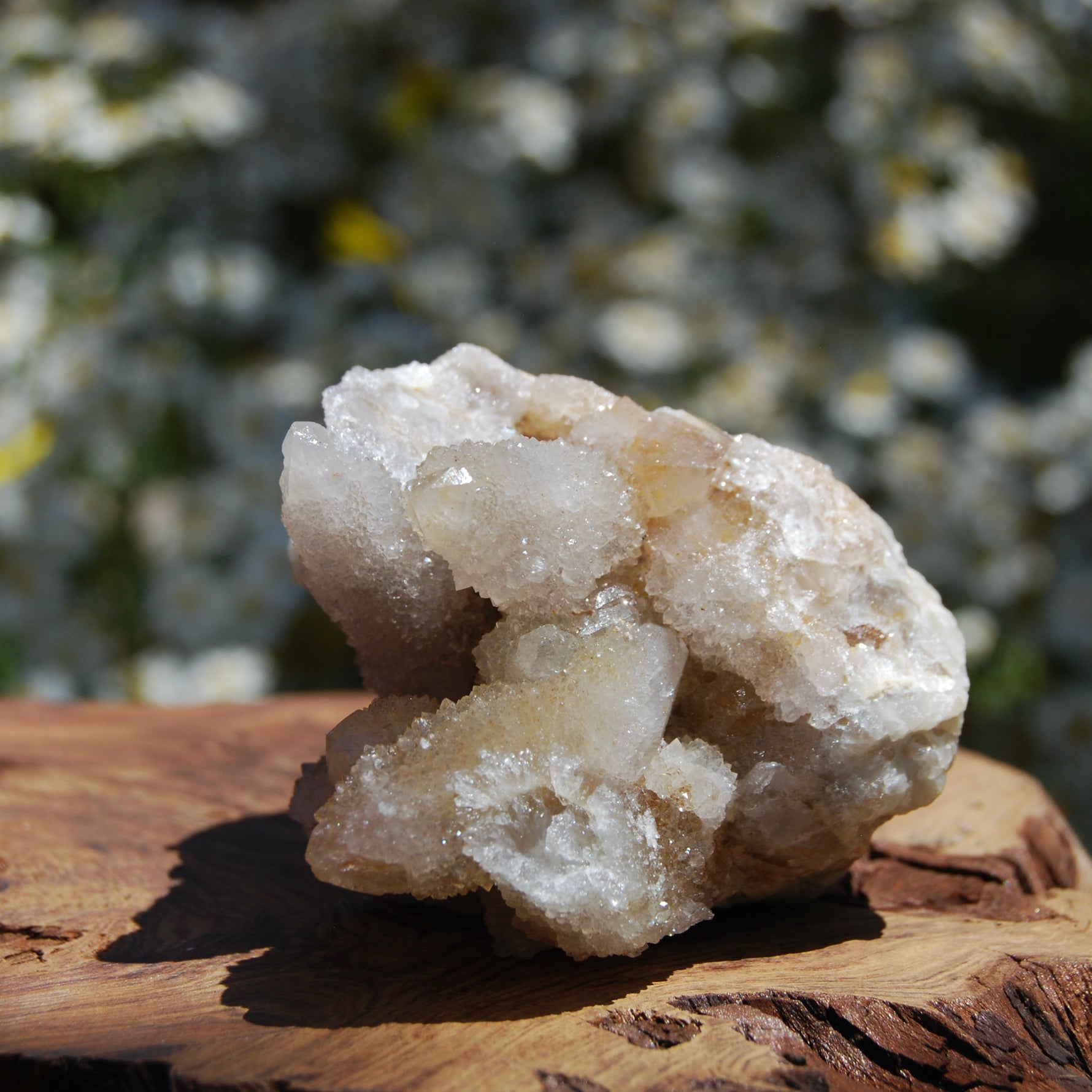 Large Fairy Quartz Crystal Cluster, Raw Spirit Quartz Druzy, South Africa