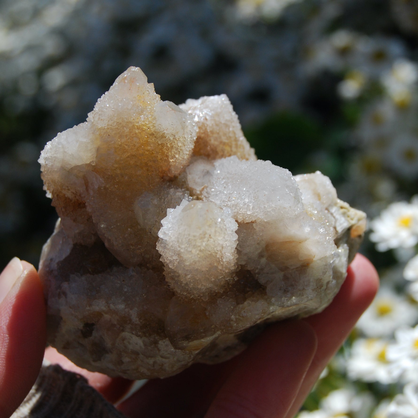 Large Fairy Quartz Crystal Cluster, Raw Spirit Quartz Druzy, South Africa