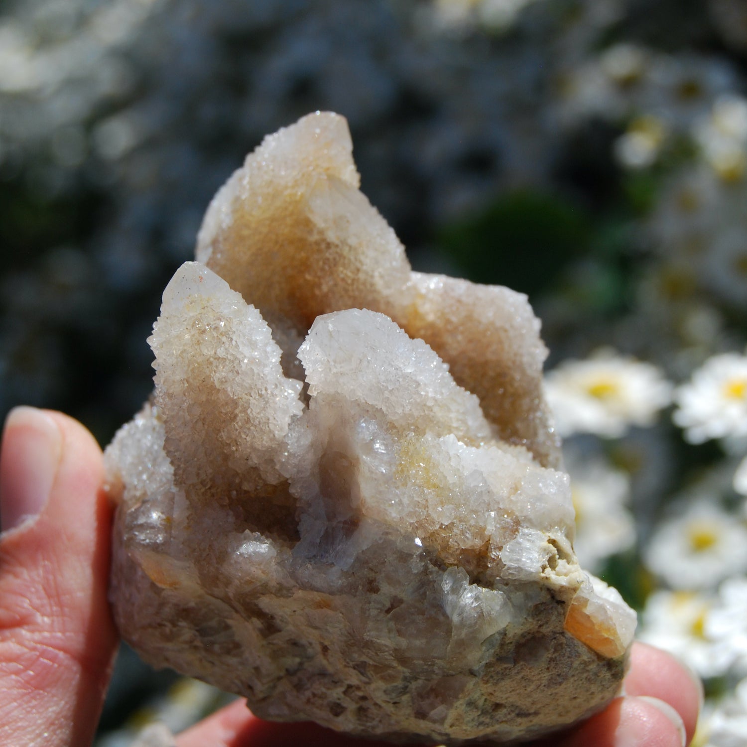 Large Fairy Quartz Crystal Cluster, Raw Spirit Quartz Druzy, South Africa