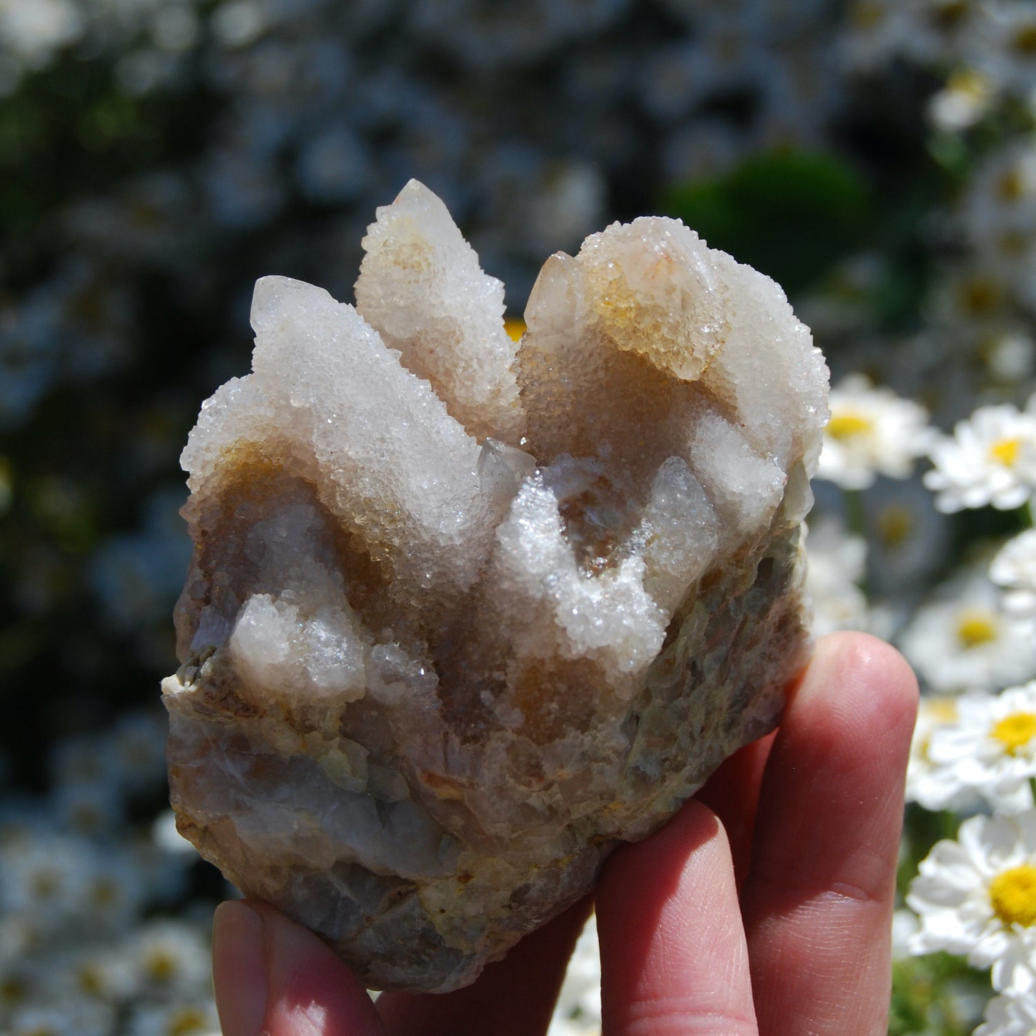 Large Fairy Quartz Crystal Cluster, Raw Spirit Quartz Druzy, South Africa