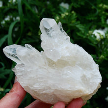 Load image into Gallery viewer, Dow Channeler Sugar Quartz Crystal Cluster
