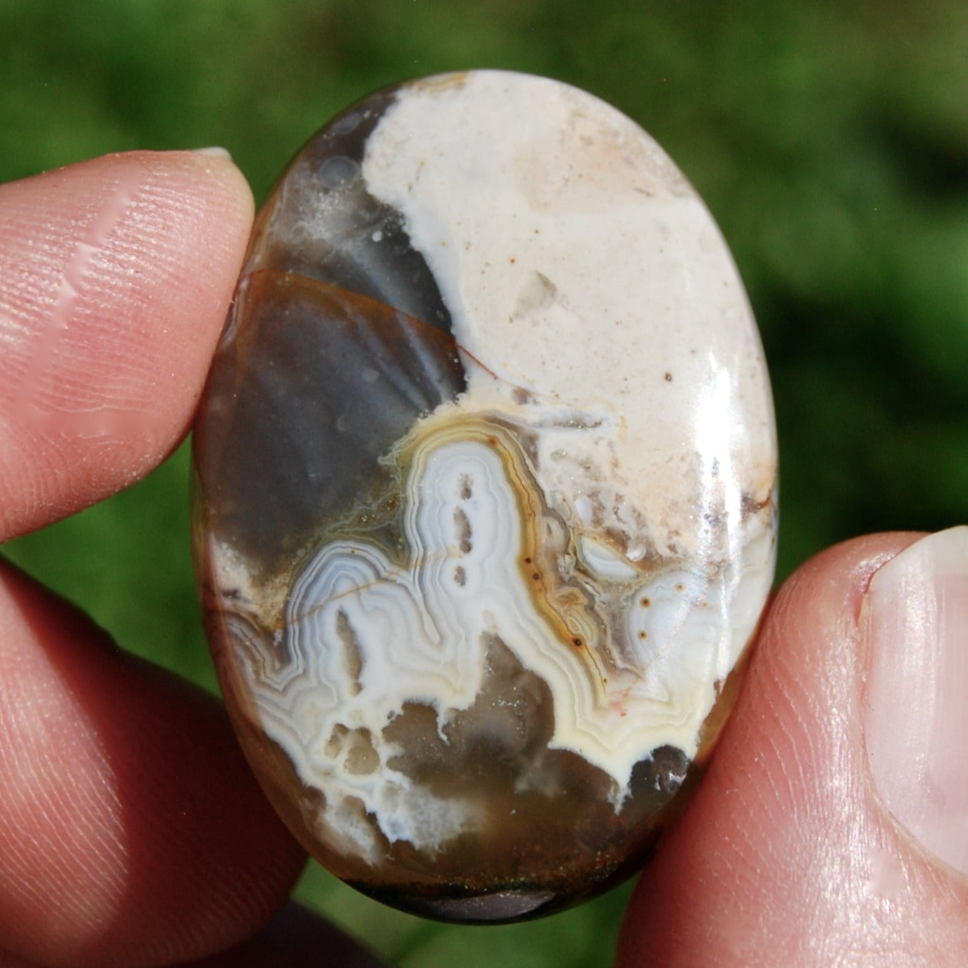 Plume Agate Cabochon