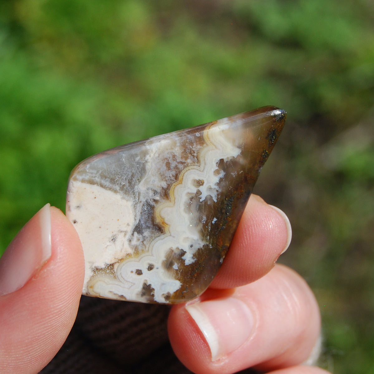 Plume Agate Cabochon, Indonesia