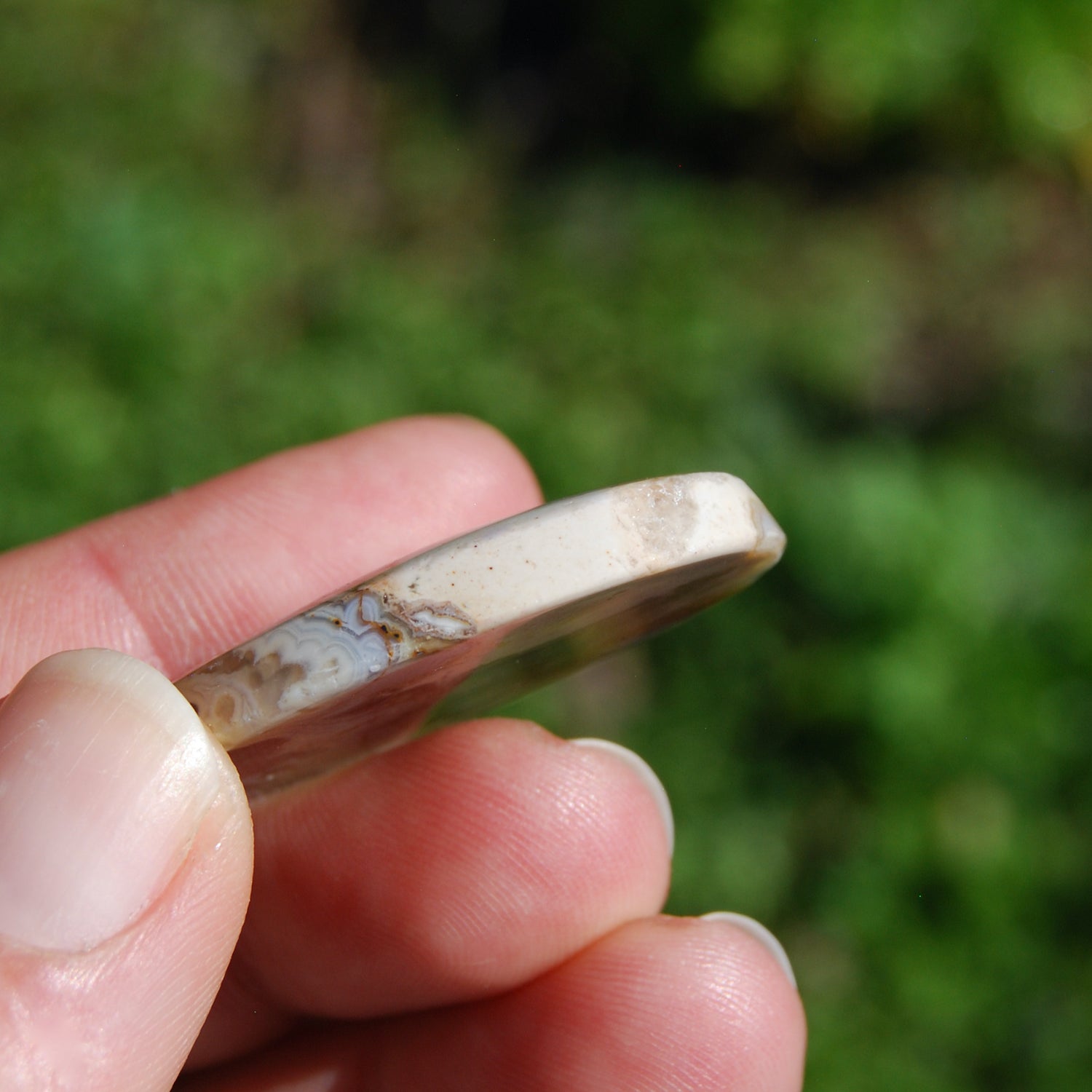 Plume Agate Cabochon