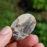 Plume Agate Cabochon