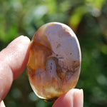 Plume Agate Cabochon