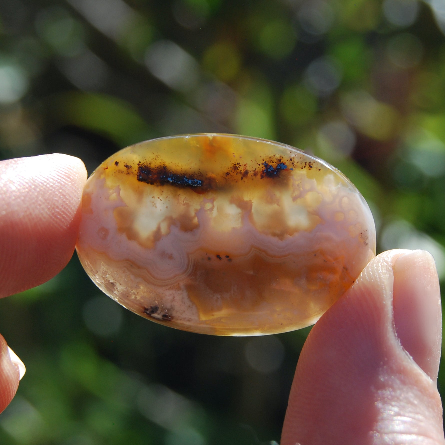 Graveyard plume agate cabochon