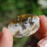 Graveyard plume agate cabochon