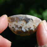 Plume Agate Cabochon, Indonesian Agate