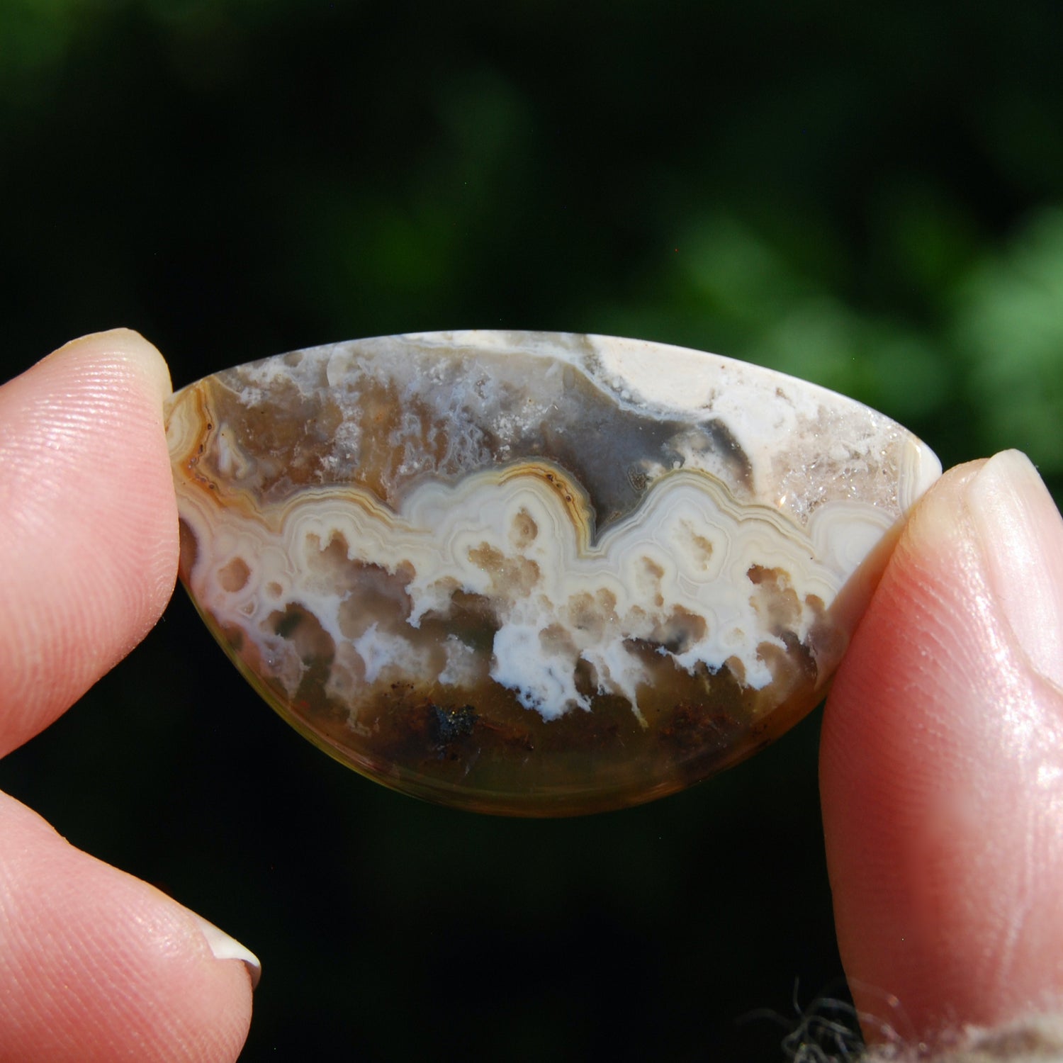 Plume Agate Cabochon, Indonesian Agate