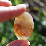 Plume Agate Cabochon