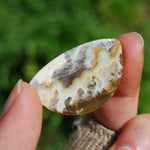 Plume Agate Cabochon, Indonesian Agate