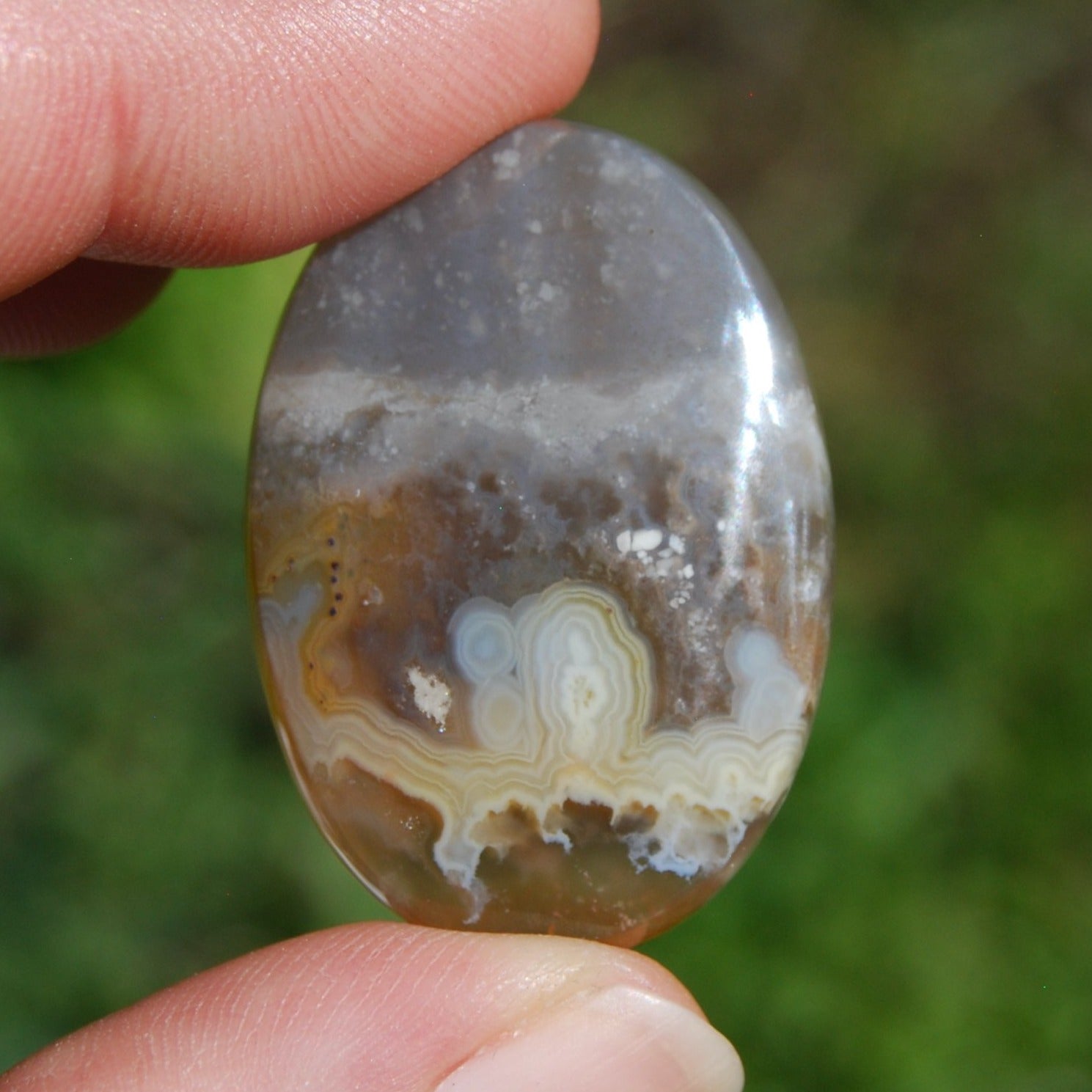 Plume Agate Cabochon