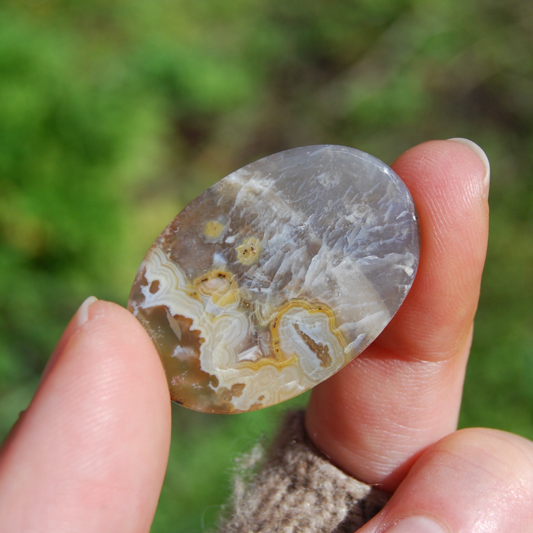 Plume Agate Cabochon
