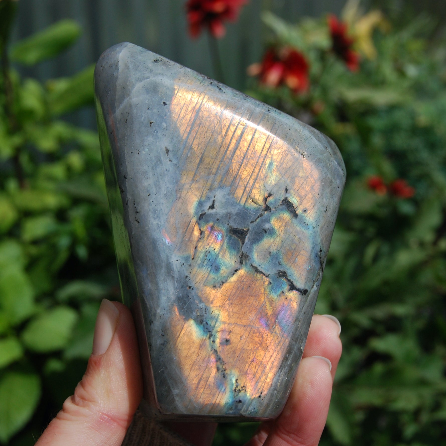 Sunset Purple Labradorite Crystal Free Form Tower
