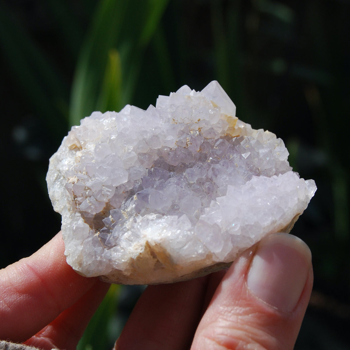 Amethyst Spirit Quartz Crystal Cluster, Spirit Quartz