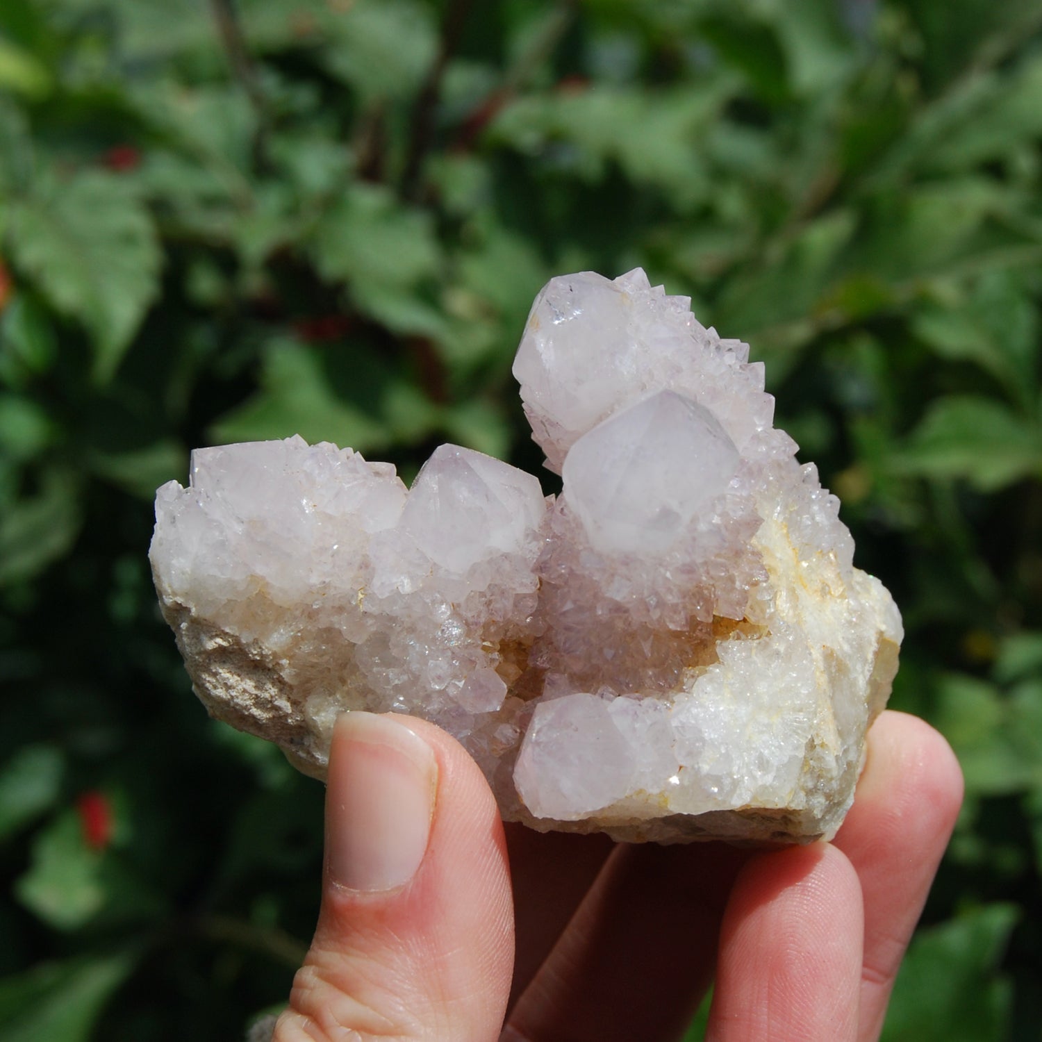 Amethyst Spirit Quartz Crystal Cluster, Spirit Quartz