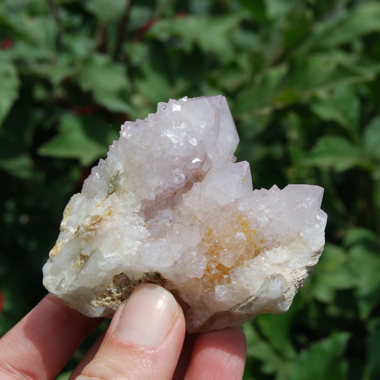 Amethyst Spirit Quartz Crystal Cluster, Spirit Quartz