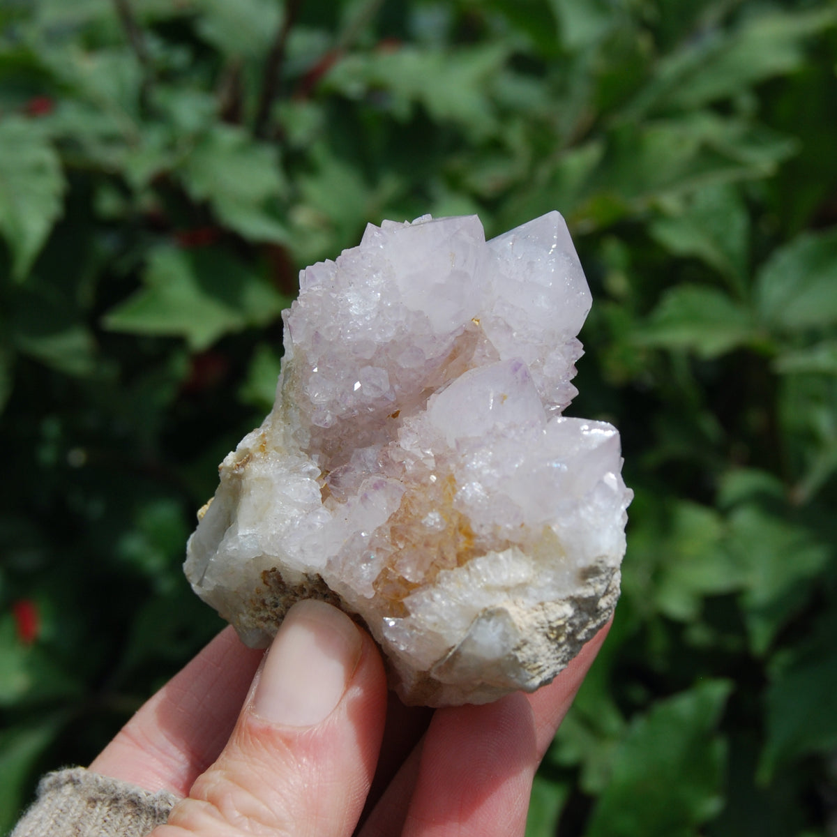 Amethyst Spirit Quartz Crystal Cluster, Spirit Quartz